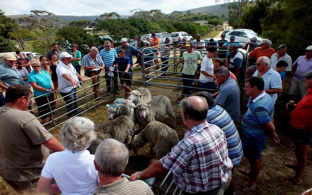 Gansbaai NGK Baardskeerdersbos 2015 Basaar 4